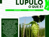 Lúpulo, o que é?