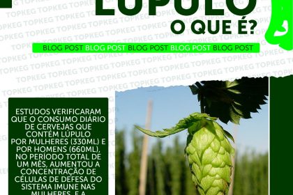 Lúpulo, o que é?